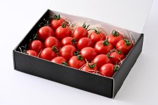 画像1: トマト 越のルビー（約1kg、約20〜40個） (1)