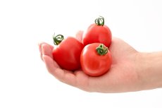 画像4: トマト 越のルビー（約1kg、約20〜40個） (4)