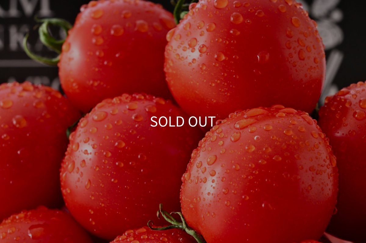 画像3: トマト 越のルビー（約1kg、約20〜40個） (3)